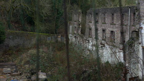 A-derelict-abandoned-mill-building-in-the-woods-overgrown-and-post-apocalyptic