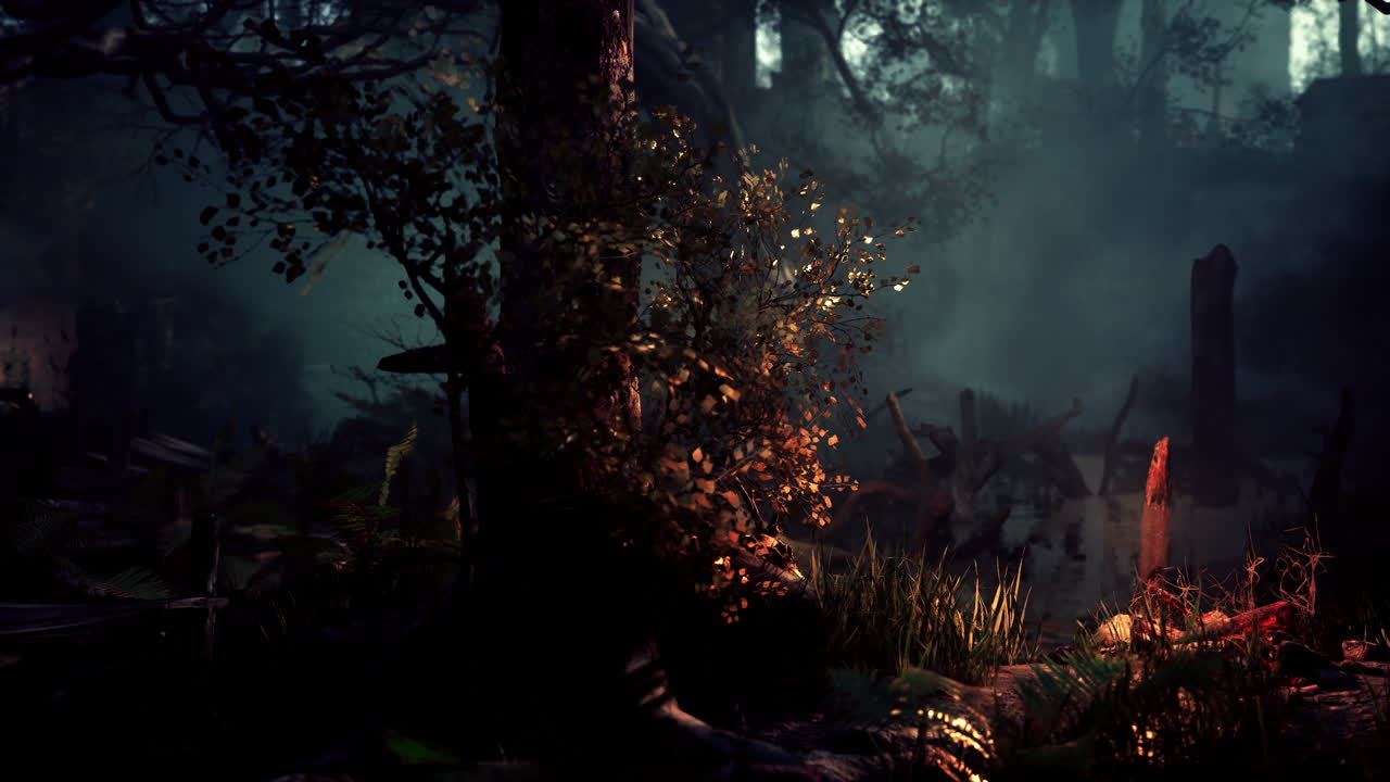 A Dark and Moody Forest