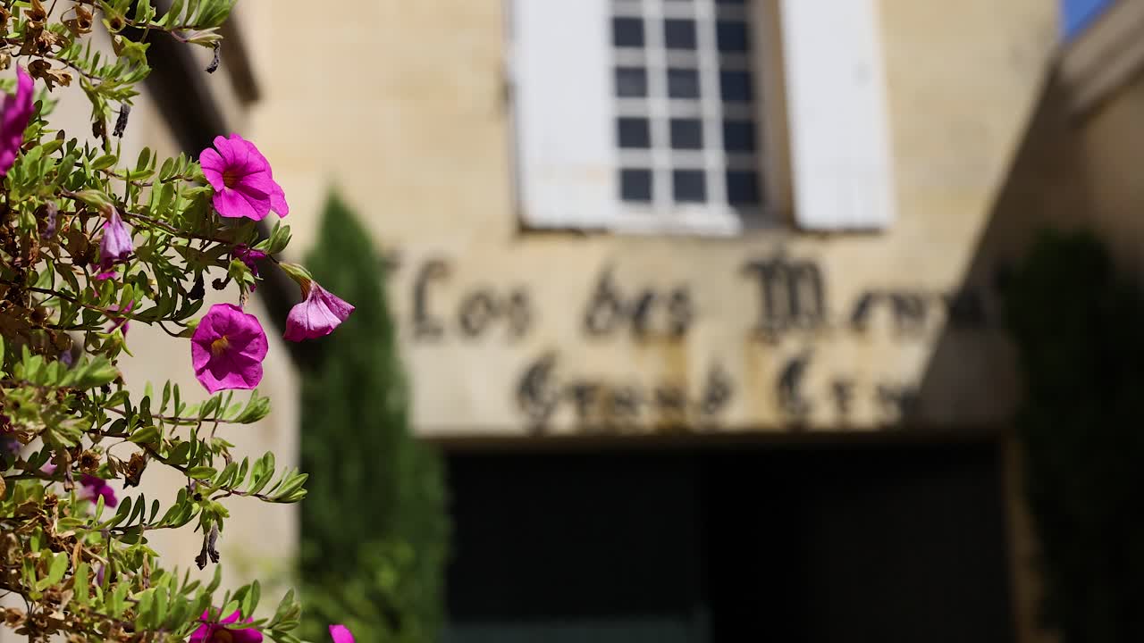 프랑스 건물 배경으로 분홍색 꽃