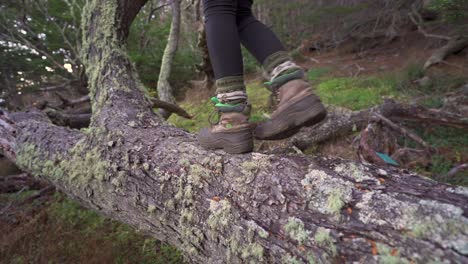 woman in boots walking on a tree trunk