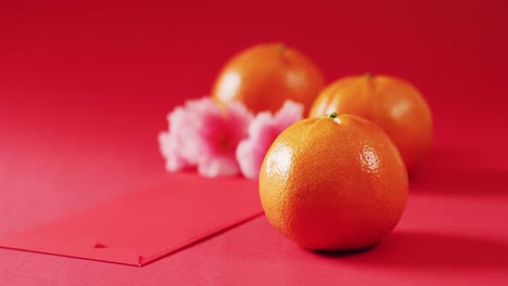 video of pink flowers and oranges on red background