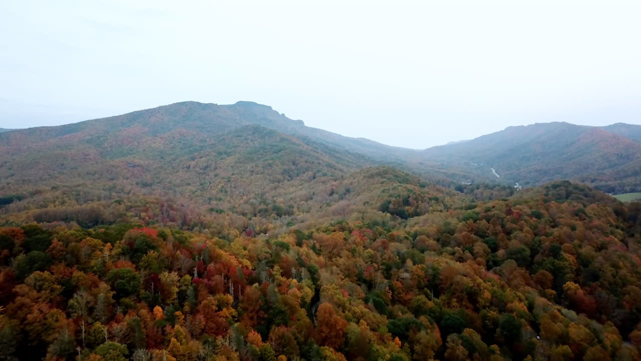 colores de otoño en la montaña del abuelo nc, color de la hoja de carolina del norte de la montaña del abuelo, color de la hoja brillante en 4k