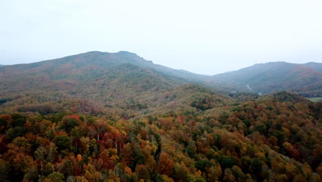 Colores-De-Otoño-En-La-Montaña-Del-Abuelo-Nc,-Color-De-La-Hoja-De-Carolina-Del-Norte-De-La-Montaña-Del-Abuelo,-Color-De-La-Hoja-Brillante-En-4k