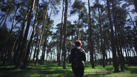 Shot-from-below-on-the-back-of-a-woman-running-through-the-morning-sunny-forest