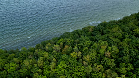 aerial view showing coastline of baltic sea with forest and trees during sunny day