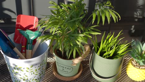 gardening tools and plants on a patio