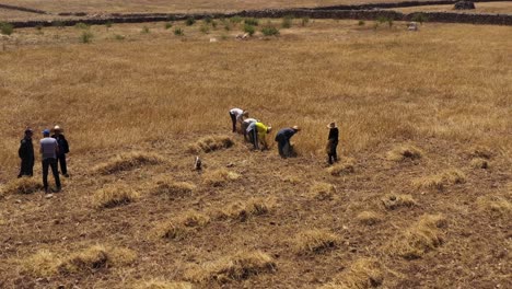 drone view of men working in a hay field