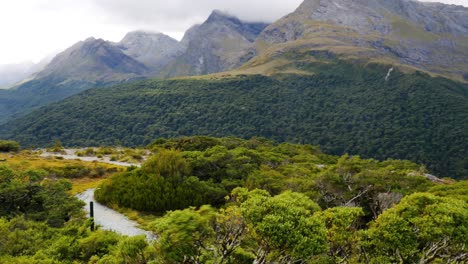 windy bushes in front of mountain hiking path in new zealand