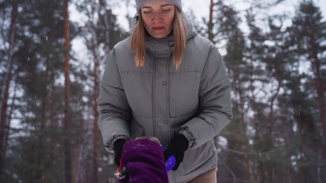 Woman in gray winter jacket plays with dog wearing purple coat during snowy forest walk. Dog tugs on toy as woman interacts warmly, showing strong bond, winter activity, and human-animal connection outdoors