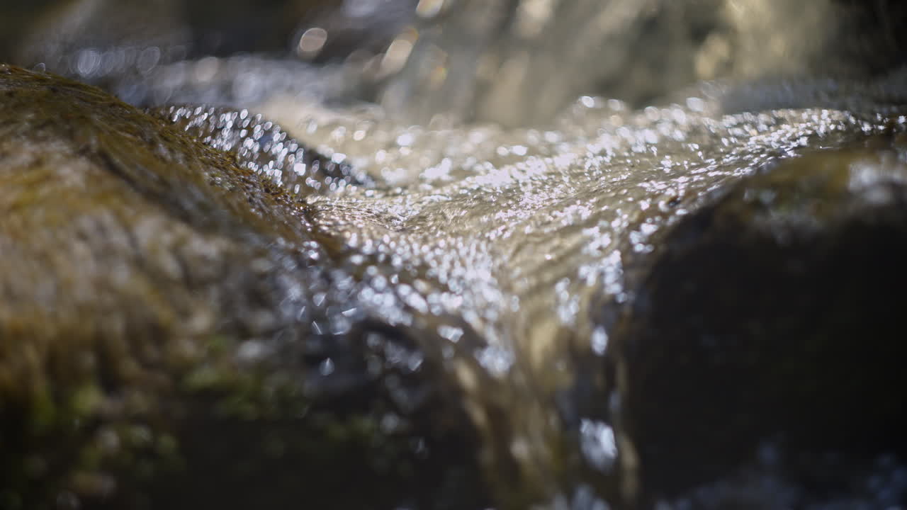agua que fluye sobre las rocas de musgo
