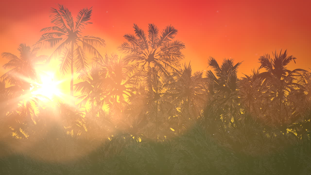 vista panorámica del paisaje tropical con palmeras y puesta de sol 17