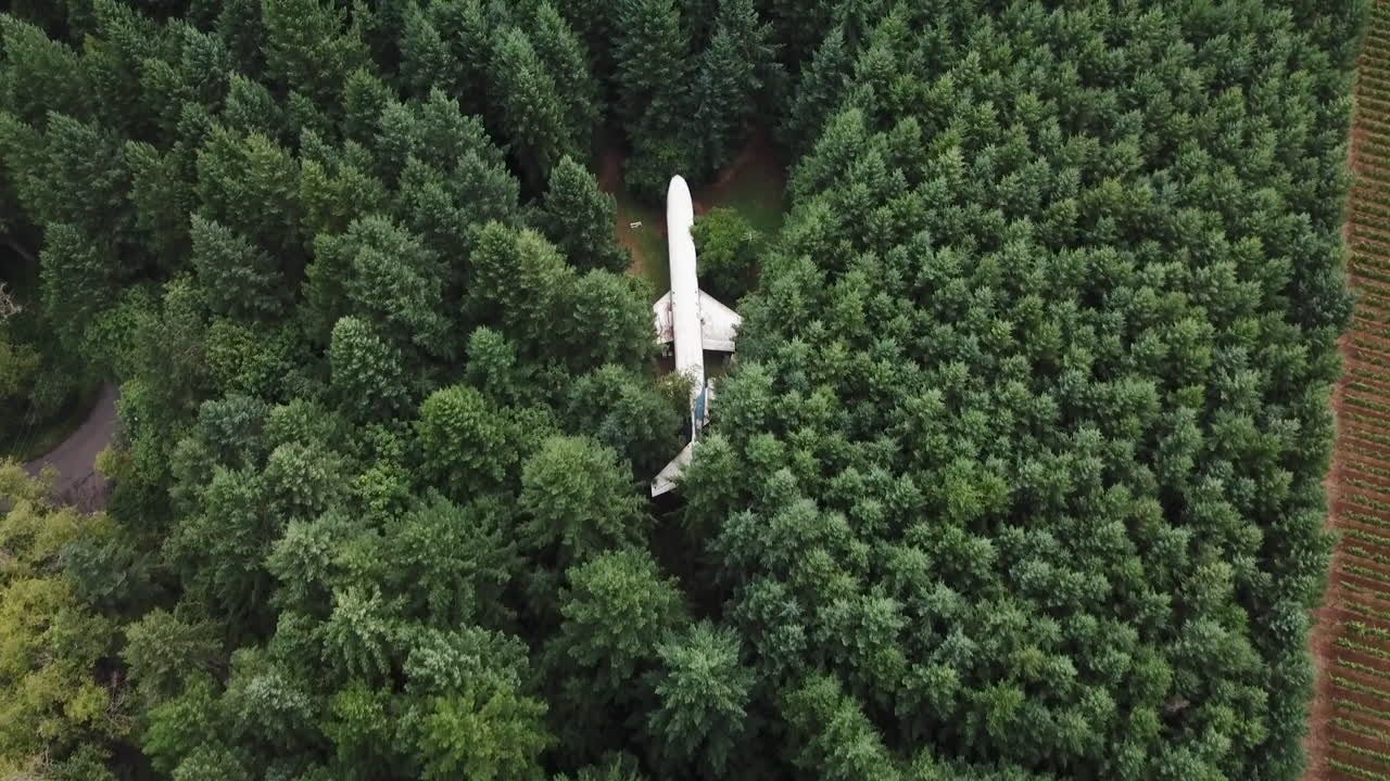 오레곤 풍경, 새의 눈 공중의 숲에 숨겨진 오래된 비행기를 착륙