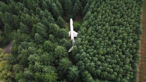 Aterrizó-Un-Viejo-Avión-Escondido-En-Los-Bosques-Del-Paisaje-De-Oregón,-Antena-De-Ojo-De-Pájaro