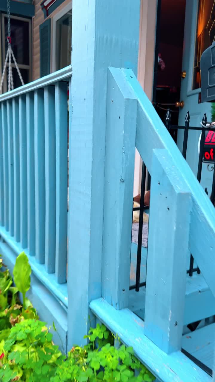 Hund hviler på verandaen ved et farverigt victoriansk hus. En lille hund ligger bag en sort metalport på en blå træveranda ved siden af en postkasse.
