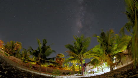 tropical palm trees lit by soft lights sway under a clear starry night sky with the milky way visible above