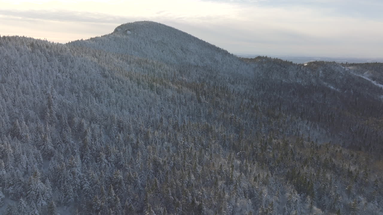paisaje invernal de sobrevuelo en la montaña y el bosque - toma aérea