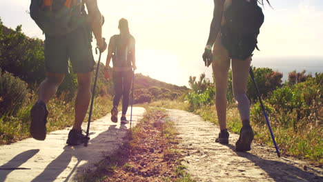 Rear-view-of-diverse-group-hiking-on-a-paved