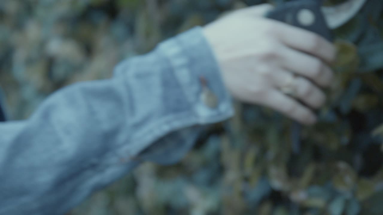 A young girl clips and explores her garden, focusing on hedge maintenance. The scene captures an intimate moment with soft, natural light and lush greenery