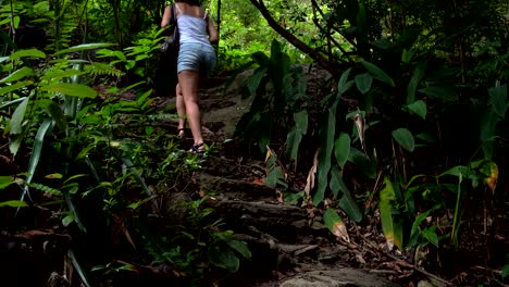 the woman climbs on stone steps in the jungle