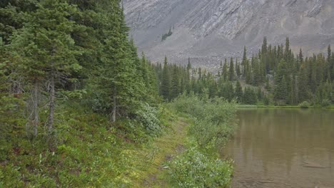 trail and pond in mountain forest rockies kananaskis alberta canada