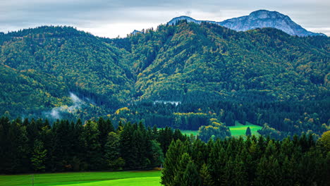 mountain forest with yellow and red colored leaves breathes as mist clouds rise