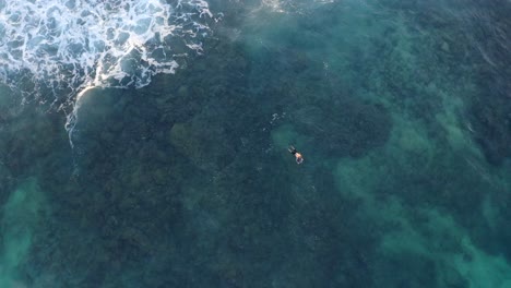 Swimmer-wades-through-water-over-reef-waiting-for-next-wave,-whitewash-in-Hawaii