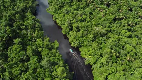 Barco-Turístico-En-El-Delta-Del-Río-Orinoco,-Venezuela-Bordeado-Por-Una-Selva-Tropical-Densa-Y-Exuberante,-Aguas-Negras-Oscuras-Aéreas-De-Arriba-Hacia-Abajo