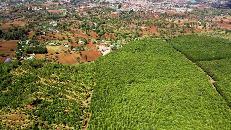 Drohnenansicht---Afrika-Wald---Afrika-Buschfeuer