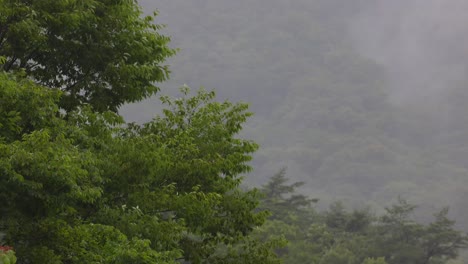 산중의 폭우 풍경