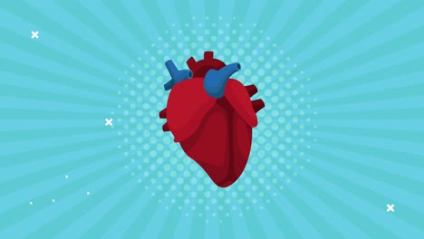 world heart day animation with organ