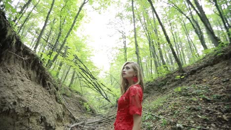 fantasy woman lost in the woods