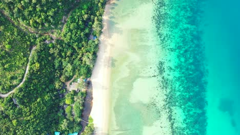 amazing shoreline of tropical island with lush vegetation and white sandy beach washed by turquoise sea water in dominican republic