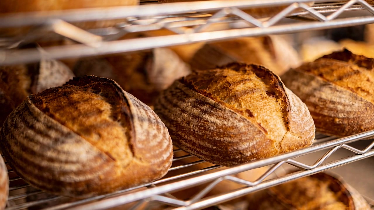 Shot starting moving camera closer to sourdough loaf on wire rack in bakery, showing floured crust
