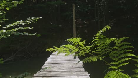 Holzsteg-über-Fluss-In-Dunklem-Wald-Mit-Hellgrünen-Farnen,-Die-Vom-Sonnenlicht-Eingefangen-Werden,-Langsam-Aufsteigende-Zeitlupe