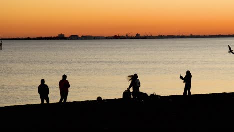 people interacting on beach during sunset