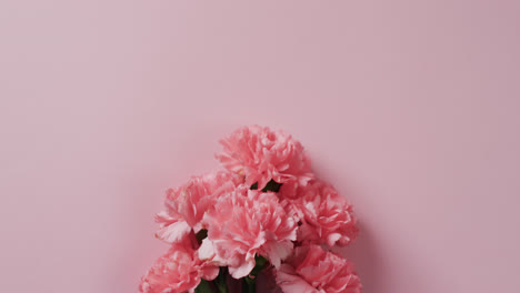 video of bunch of pink flowers and copy space on pink background