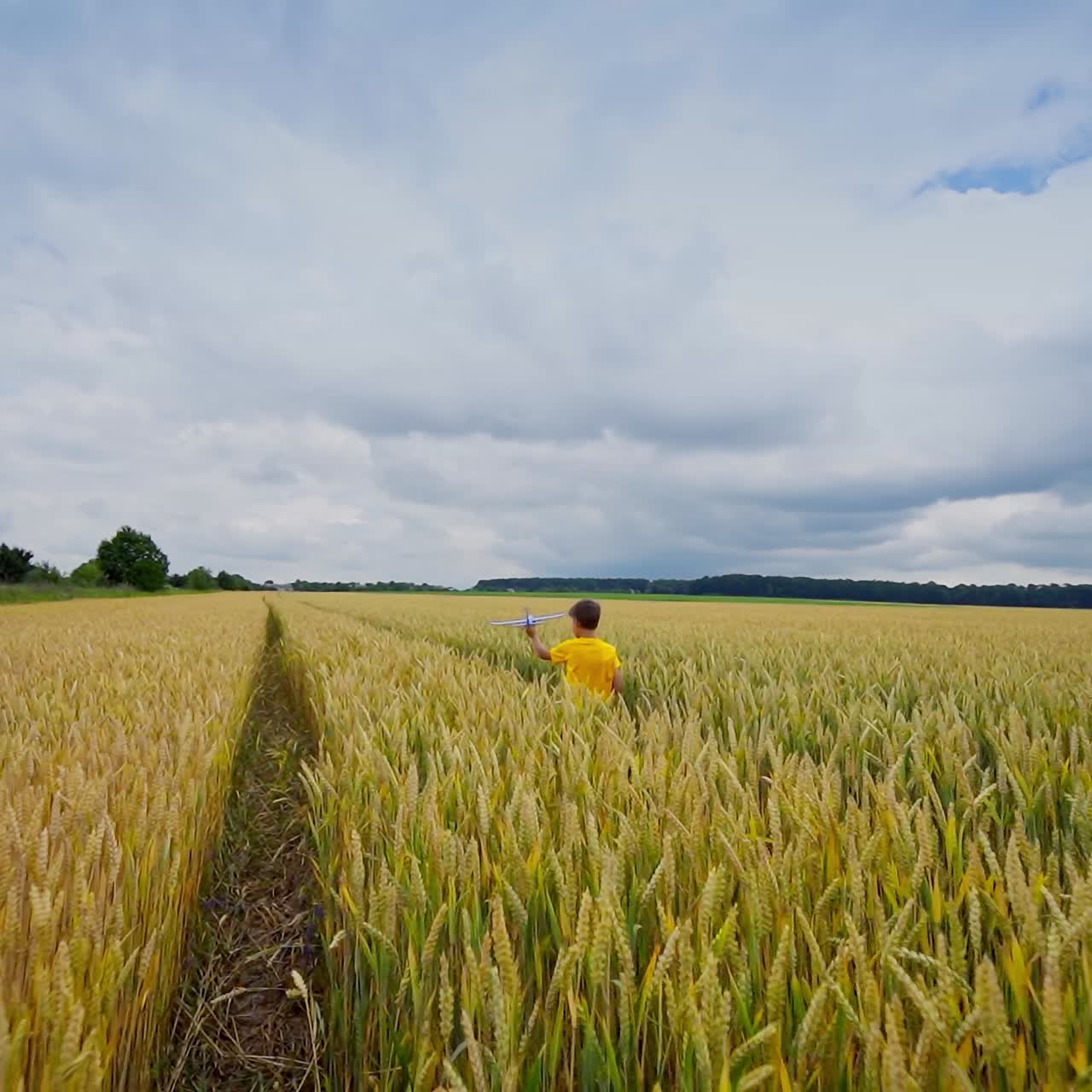 Child on yellow field. Little boy walking among agricultural plants and holding toy plane in his hand. Slow motion. Healthy childhood.