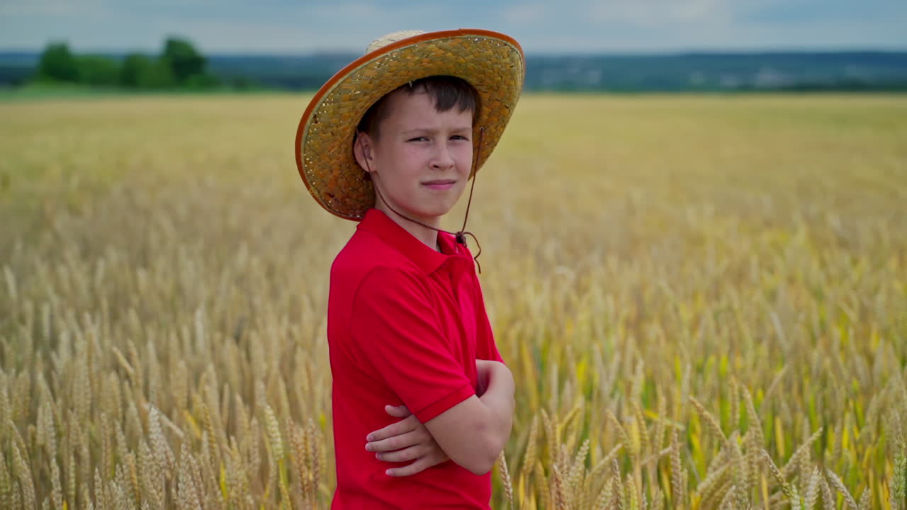 Boy in field of wheat. Portrait of cute kid in wheat field