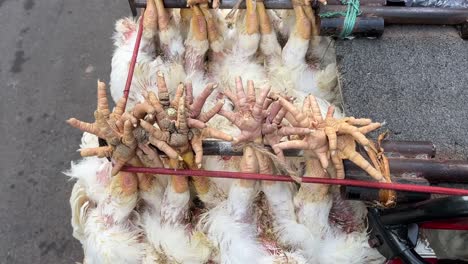 living chicken legs tied and hung upside down at a bike in kolkata, india