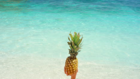 Stand-tall-like-a-pineapple