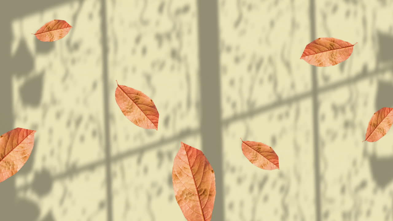 노란색 배경에 창문 그림자 위에 떠다니는 가을 잎의 애니메이션