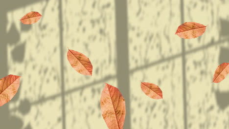 Animation-of-fall-leaves-floating-over-window-shadow-on-yellow-background