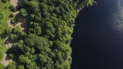 Vista-Aérea-De-Arriba-Hacia-Abajo-Del-Hermoso-Paisaje-Sereno-Del-Lago-Lough-Tay,-Lago-Guinness-En-Las-Montañas-Wicklow,-Con-El-Bosque-Verde-1