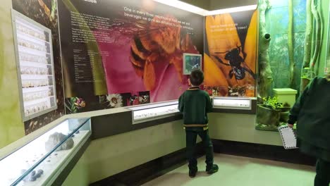 kids interacting with educational display at museum