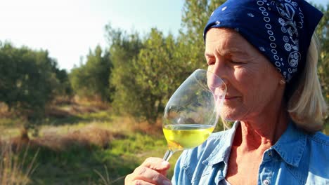 mujer examinando un vaso de vino 4k