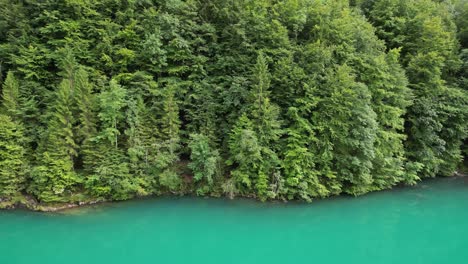 Vista-Aérea-De-árboles-Verdes-Además-Del-Cuerpo-De-Agua-Azul-Del-Lago-Klontalersee