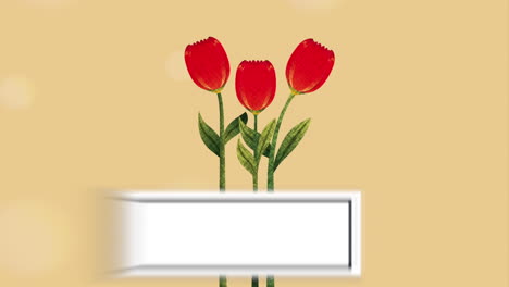 floral decoration design, video animation hd1080