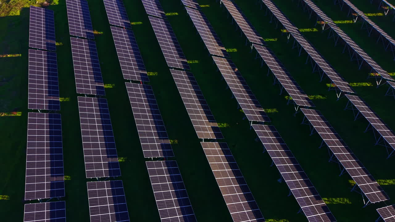 File di pannelli solari catturano la luce del sole in un vasto campo verde durante il caldo pomeriggio, mostrando la bellezza dell'energia rinnovabile.