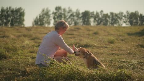 amante de mascotas arrodillado en un campo cubierto de hierba dándole un saludo a su perro, con el perro levantando juguetonamente la pata para corresponder con un saludo, mujer con camisa rosa sonriendo a su perro mientras se unen bajo la cálida luz del sol