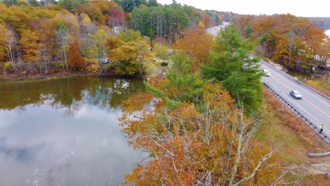 police car standing on road shoulder near lake and colorful forest, aerial view